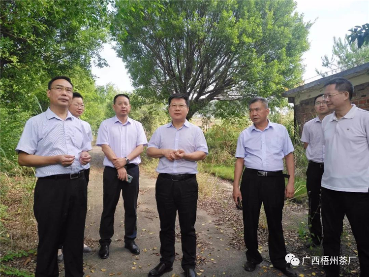 微信圖片_20190929171356_副本.jpg 微信圖片_20190929171356_副本.jpg