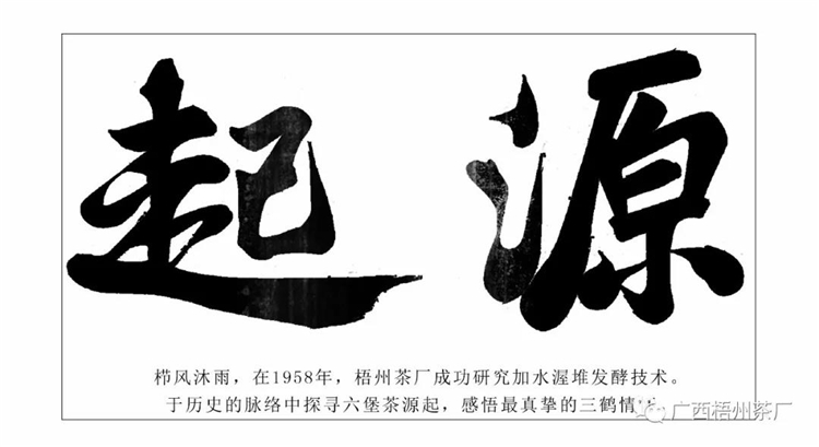 微信圖片_20191031174816_副本.jpg 微信圖片_20191031174816_副本.jpg